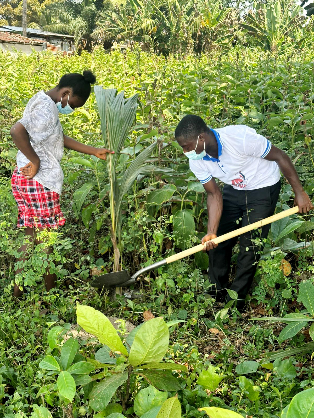 Agriculture