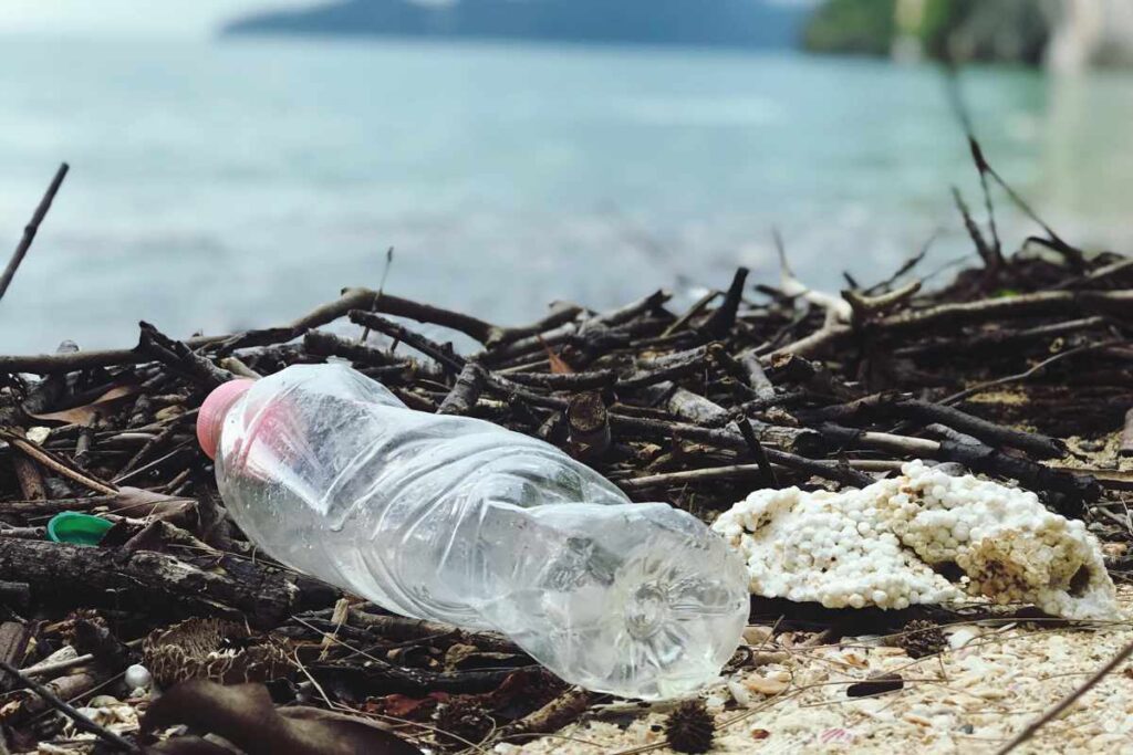 waste, including water bottles along the sea coast