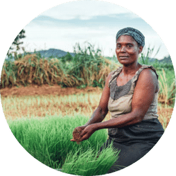 A lady on working in her garden in Liberia